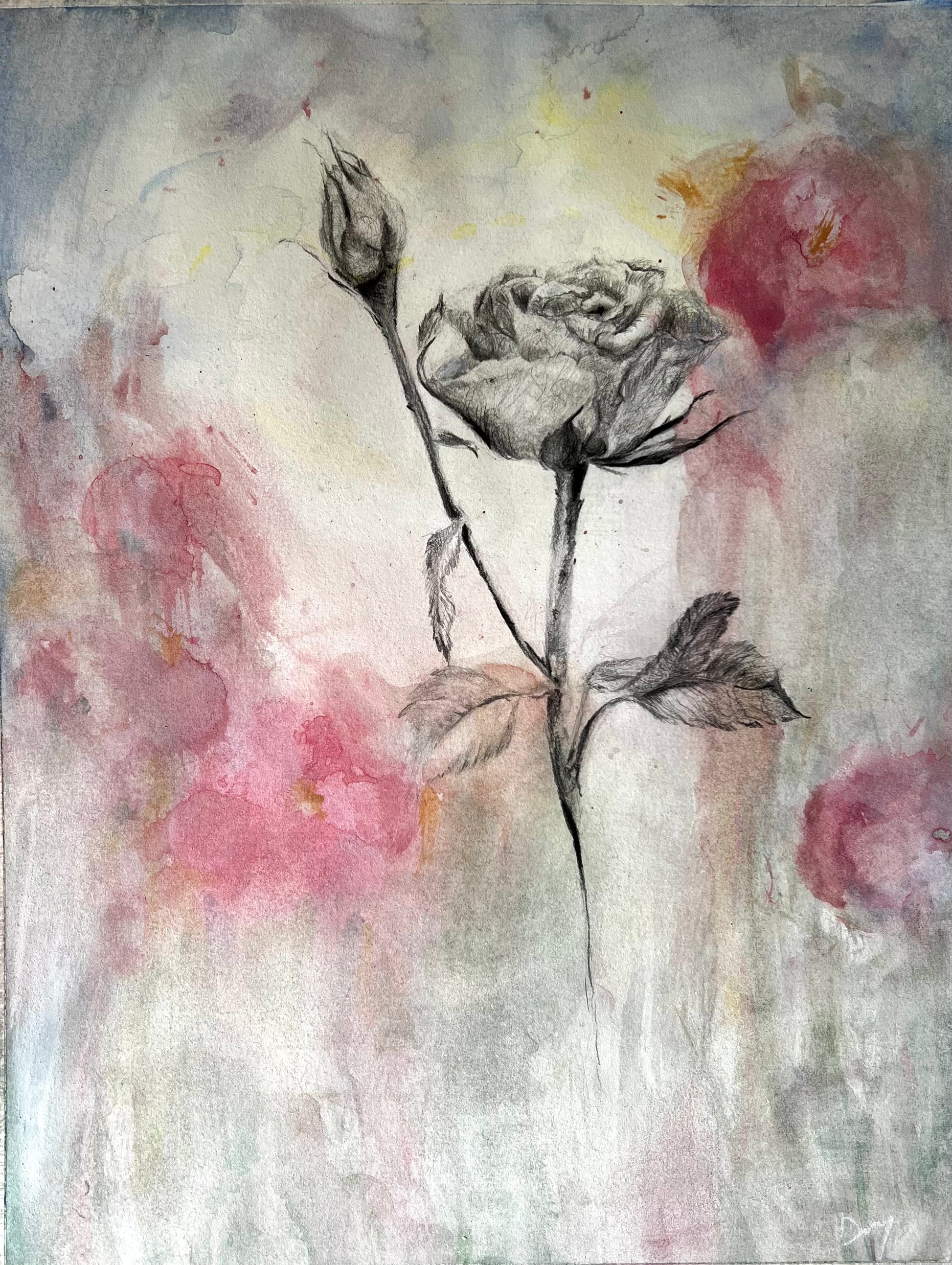 Damask Rose II