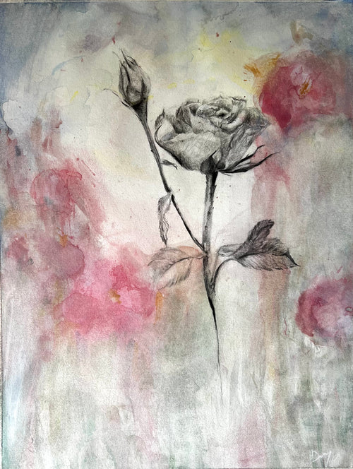 Damask Rose II