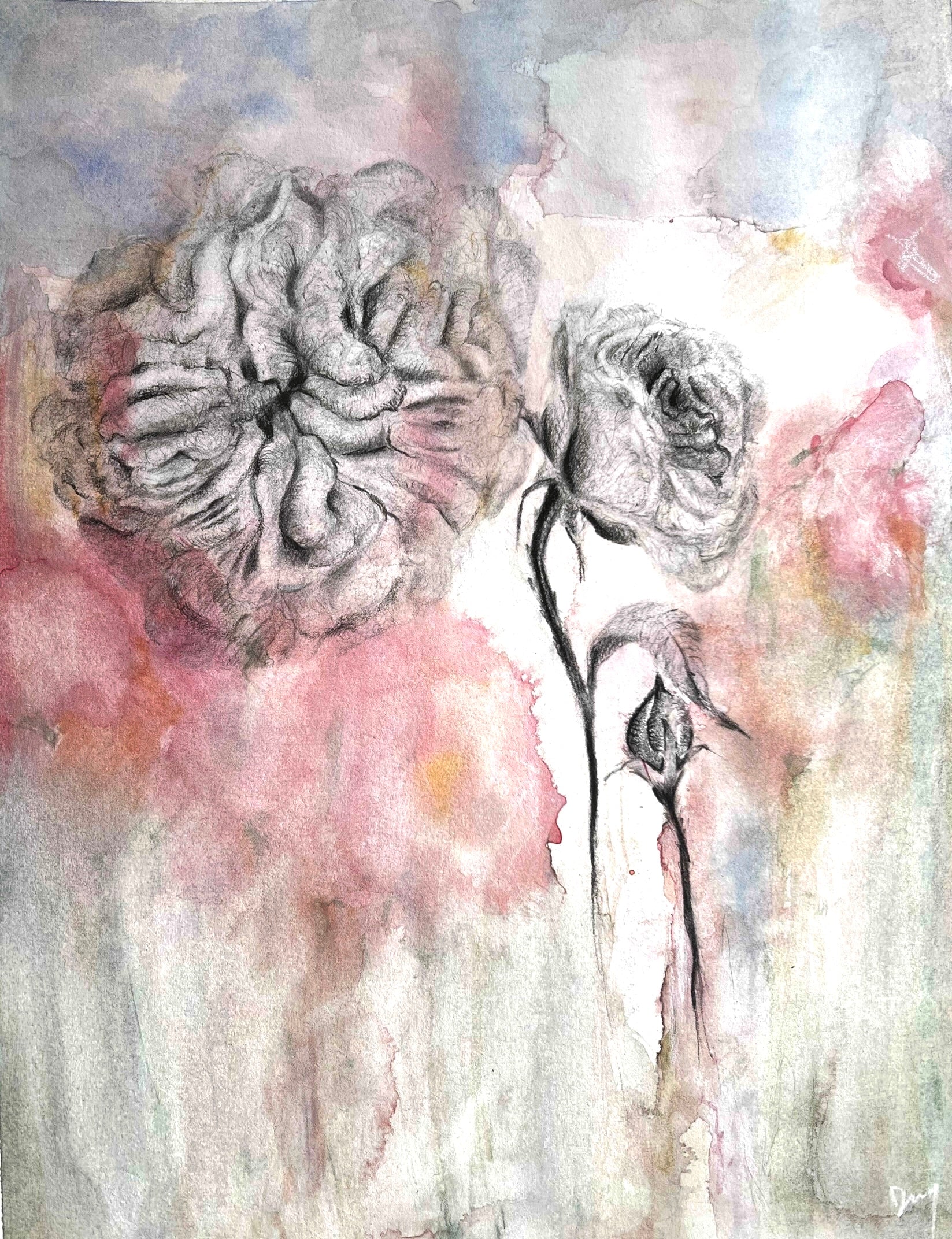 Damask Rose I